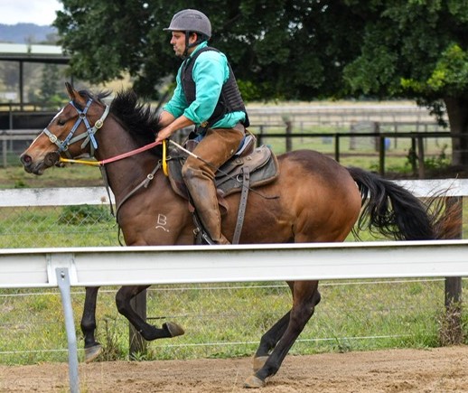 Valid Contract filly under saddle